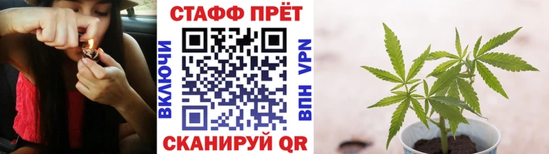 Где купить Новоалександровск A PVP  Cocaine  ГАШИШ  Амфетамин  МАРИХУАНА 