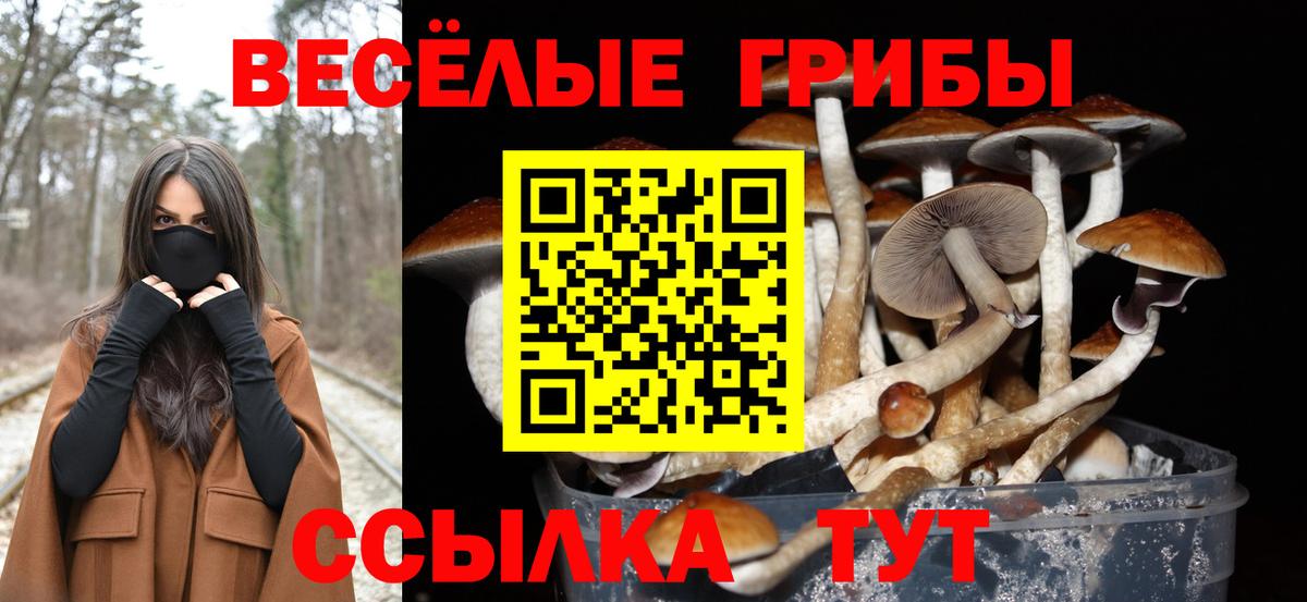 Галлюциногенные грибы GOLDEN TEACHER Новоалександровск