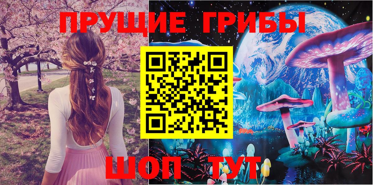 Псилоцибиновые грибы Psilocybe  купить наркотик  Новоалександровск  Вход с VPN 
