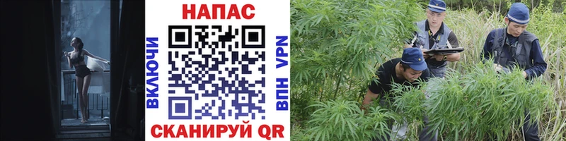 где продают   Новоалександровск  МАРИХУАНА Bruce Banner 